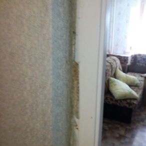 Дезинсекция в квартире с гарантией в Кемерово