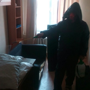 Уничтожение тараканов в квартире с гарантией в Кемерово