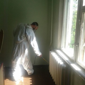 Уничтожить тараканов в квартире в Кемерово